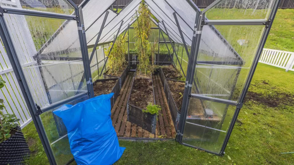 Preparing plants in a small glass greenhouse.