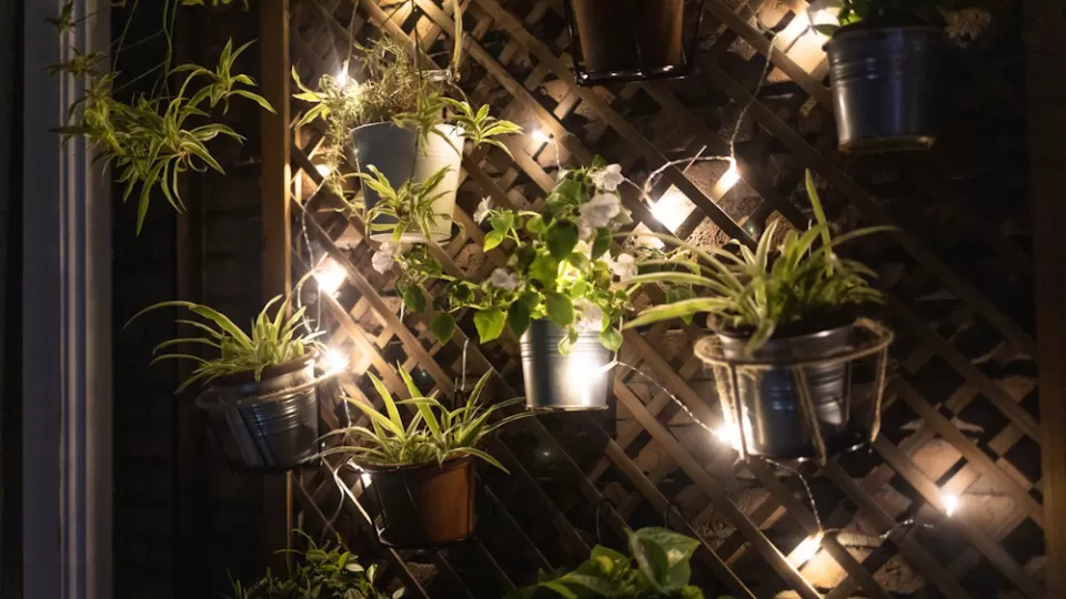 Outdoor fairy lights draped around vertical wall potted plants.