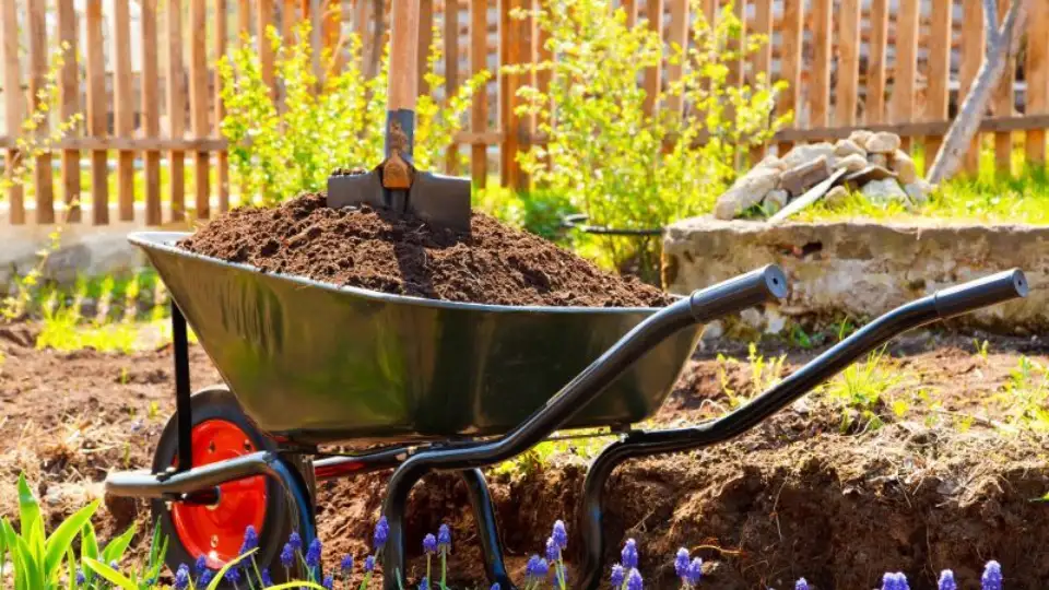 feeding plants for bumper crop soil improvements