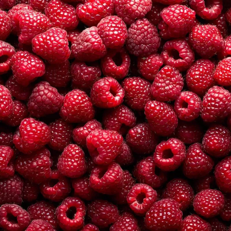 Ripe raspberries