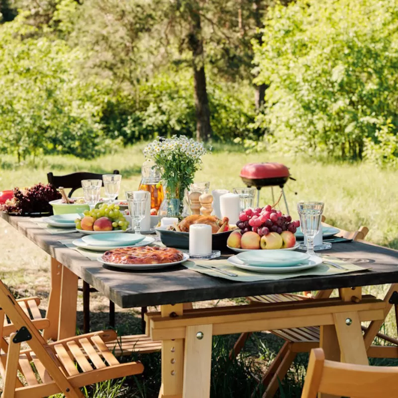 Summer picnic under a trees shade.