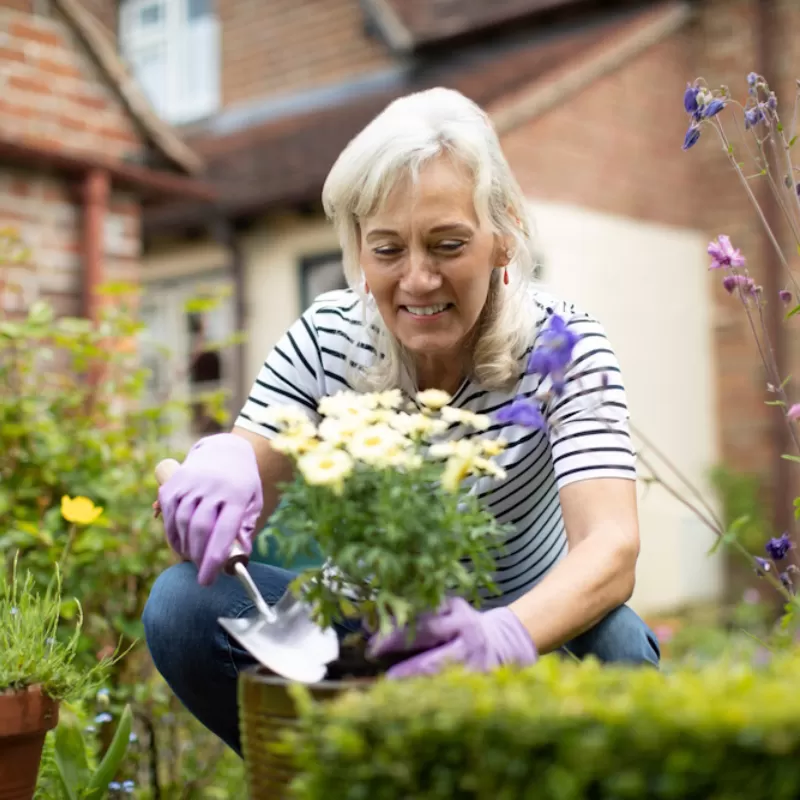 An individual planting flowers in a pot surrounded by potted plants.
