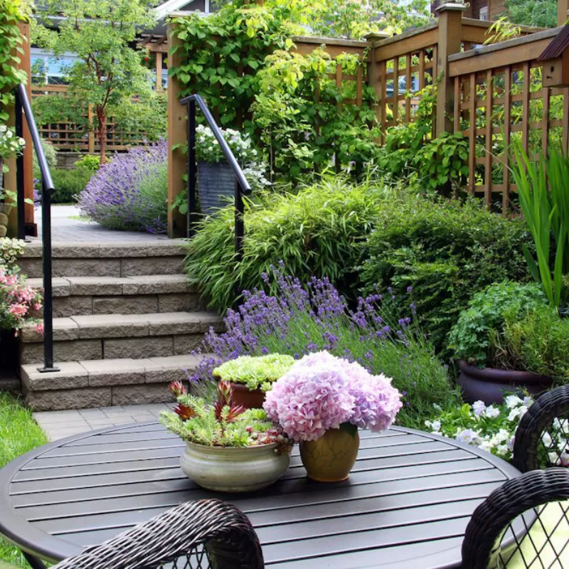 Tiered small garden with an abundance of thriving plants.