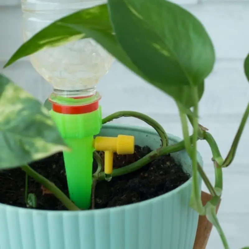 watering plants whilst on holiday